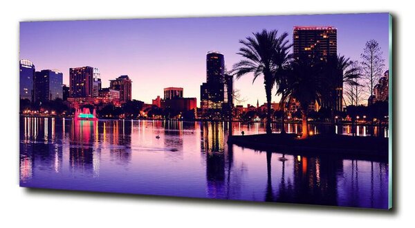 Fotoobraz na skle Orlando USA osh-40340375