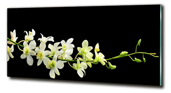 Foto obraz sklo tvrzené Orchidej osh-4005190