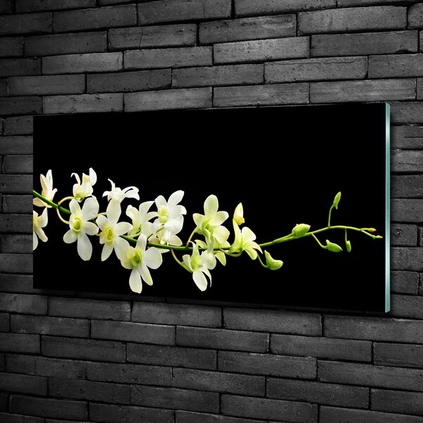 Foto obraz sklo tvrzené Orchidej osh-4005190