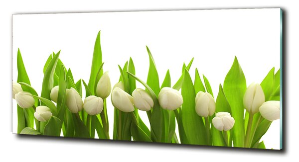 Foto obraz sklo tvrzené Bílé tulipány osh-40774643