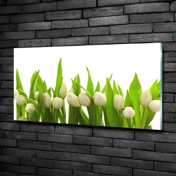 Foto obraz sklo tvrzené Bílé tulipány osh-40774643