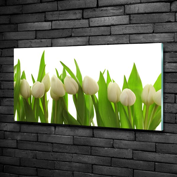 Foto-obrah sklo tvrzené Bílé tulipány osh-40774671