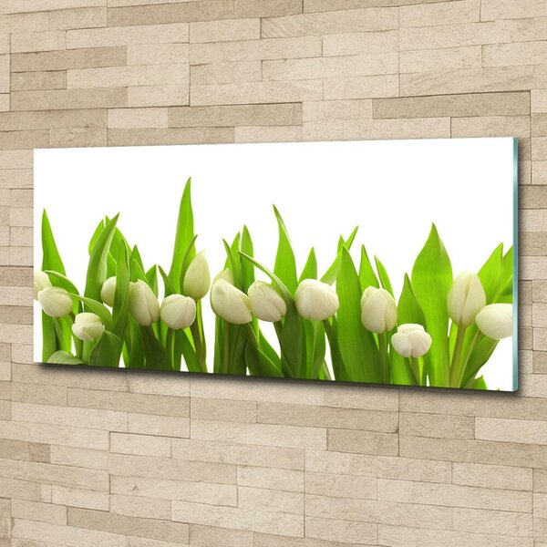 Foto obraz sklo tvrzené Bílé tulipány osh-40774643