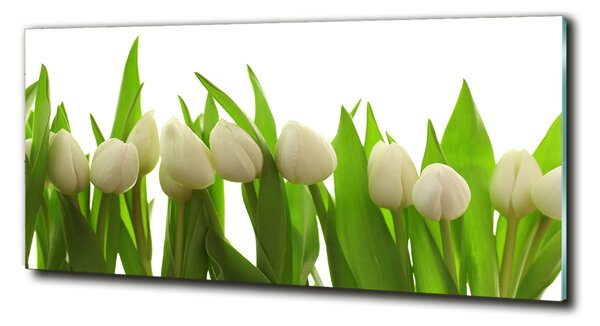 Foto-obrah sklo tvrzené Bílé tulipány osh-40774671