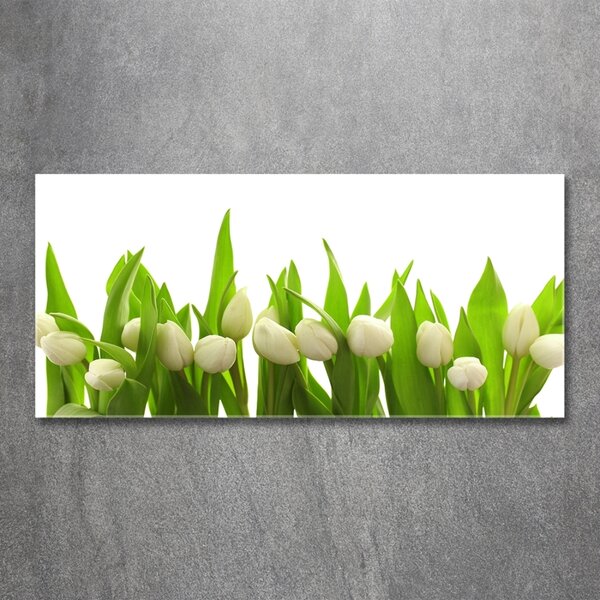Foto obraz sklo tvrzené Bílé tulipány osh-40774643