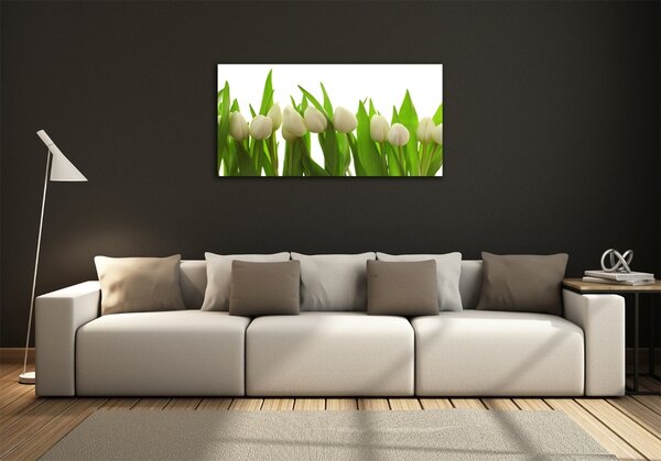 Foto-obrah sklo tvrzené Bílé tulipány osh-40774671