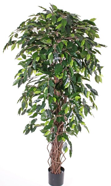 Umělý strom Fíkus Luxe - liánový kmen, 180cm