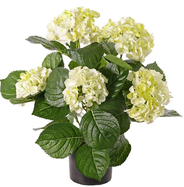 Umělá květina Hortenzie krémová luxe v květináči, 36cm