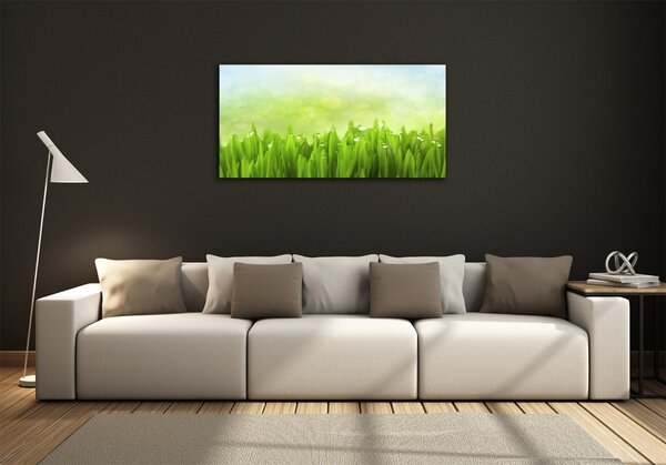 Foto obraz skleněný horizontální Tráva osh-42253578