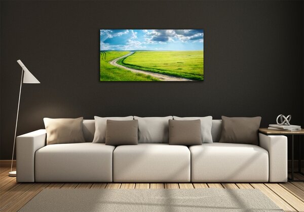 Fotoobraz na skle Stezka na louce osh-42994510
