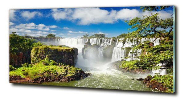 Fotoobraz na skle Vodopád Argentína osh-43312221