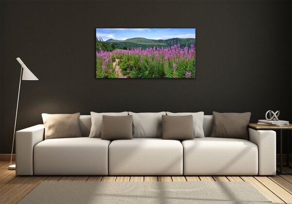 Foto-obraz fotografie na skle Zelené pahorky osh-44294505