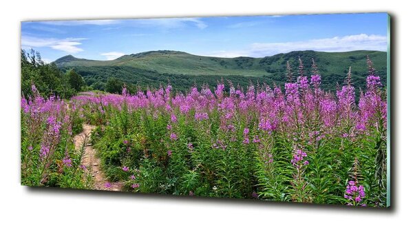 Foto-obraz fotografie na skle Zelené pahorky osh-44294505