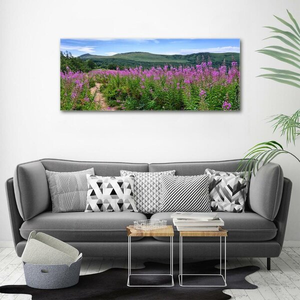 Foto-obraz fotografie na skle Zelené pahorky osh-44294505