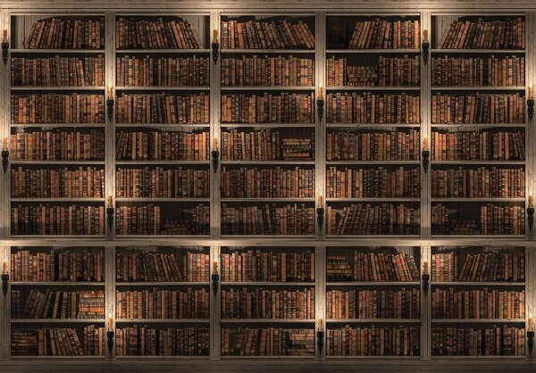 Fototapeta - Knihovna plná knih (254x184 cm)