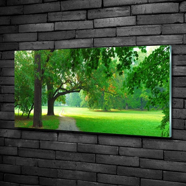 Foto obraz sklo tvrzené Podzimní park osh-45444718