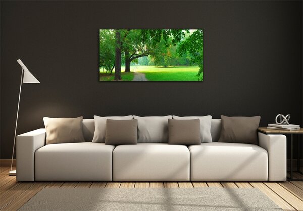 Foto obraz sklo tvrzené Podzimní park osh-45444718