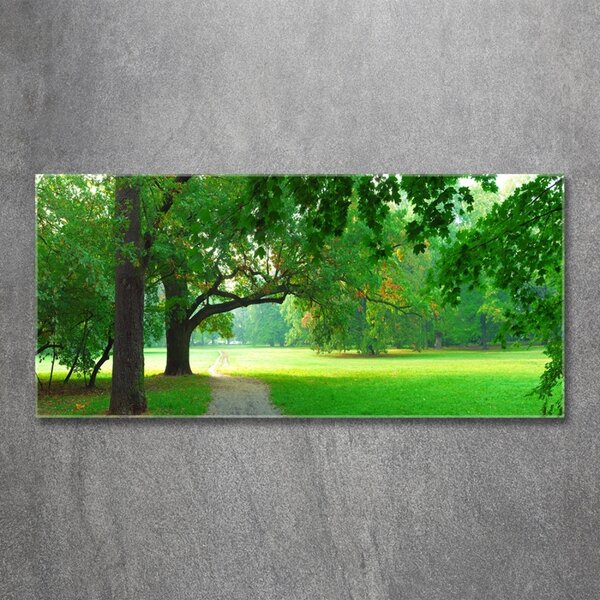 Foto obraz sklo tvrzené Podzimní park osh-45444718
