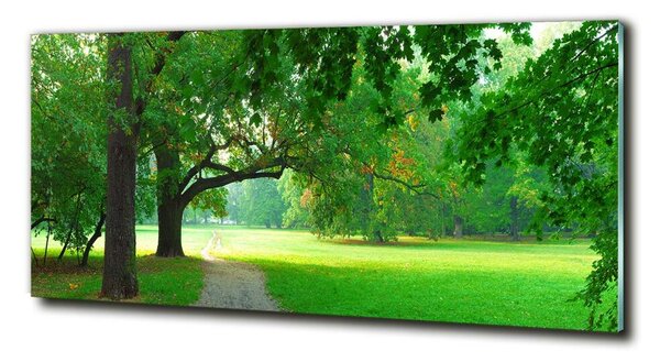 Foto obraz sklo tvrzené Podzimní park osh-45444718