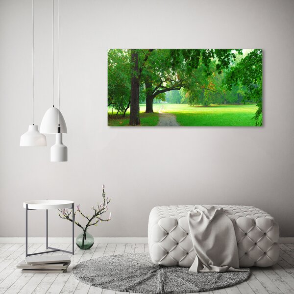 Foto obraz sklo tvrzené Podzimní park osh-45444718