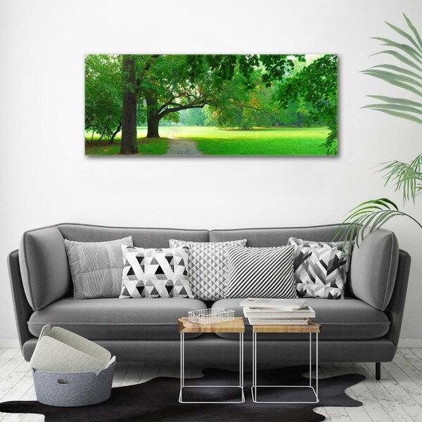 Foto obraz sklo tvrzené Podzimní park osh-45444718