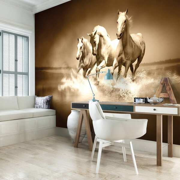 Fototapeta - Bílý kůň tryskem na vodě (152,5x104 cm)