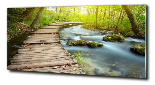 Foto obraz fotografie na skle Stezka nad řekou osh-46793485