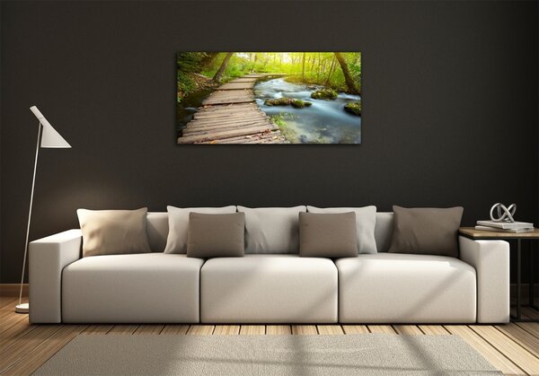 Foto obraz fotografie na skle Stezka nad řekou osh-46793485