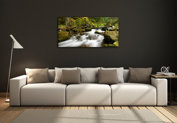 Foto obraz skleněný horizontální Olčiský potok osh-48996264