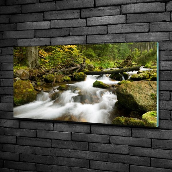 Foto obraz skleněný horizontální Olčiský potok osh-48996264
