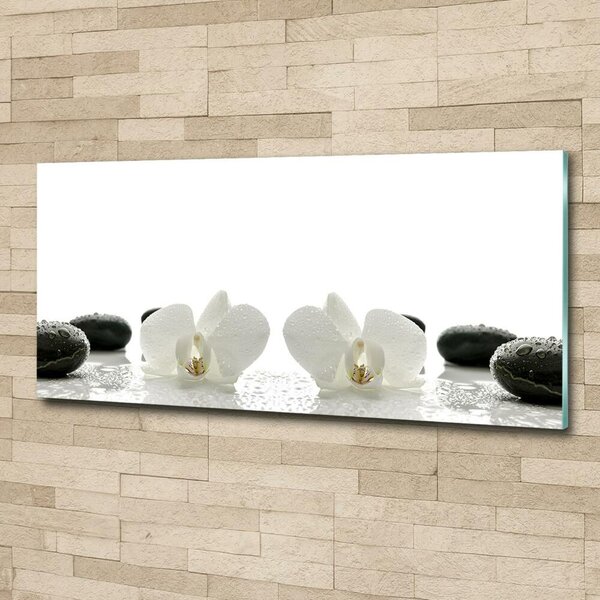 Foto-obrah sklo tvrzené Orchidej osh-49248021