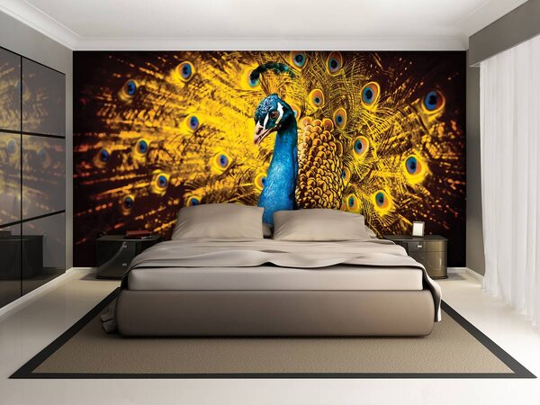 Fototapeta - Páv se žlutým peřím (152,5x104 cm)