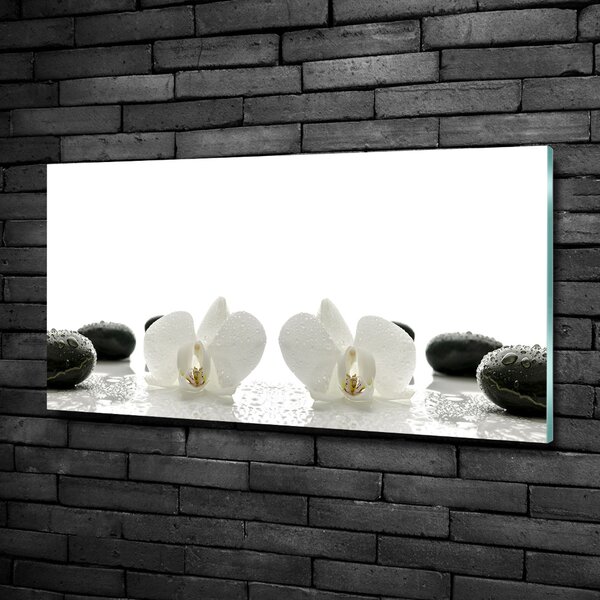 Foto-obrah sklo tvrzené Orchidej osh-49248021