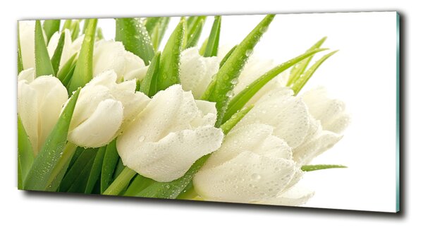 Moderní foto obraz na stěnu Bílé tulipány osh-49549577