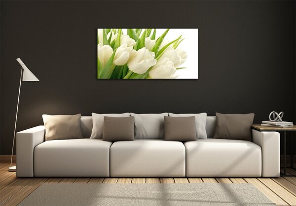 Moderní foto obraz na stěnu Bílé tulipány osh-49549577