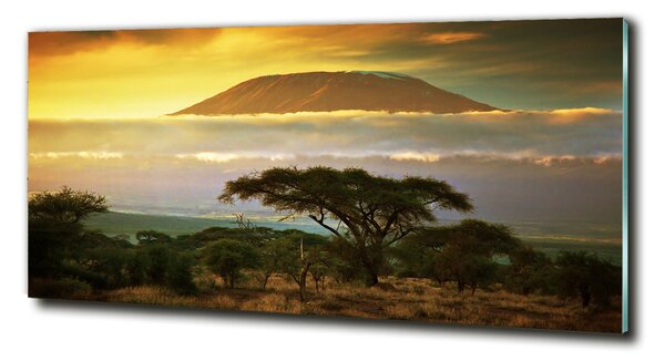 Fotoobraz na skle Kilimanjaro Kenya osh-49494611
