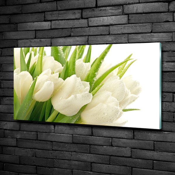 Moderní foto obraz na stěnu Bílé tulipány osh-49549577
