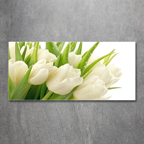 Moderní foto obraz na stěnu Bílé tulipány osh-49549577
