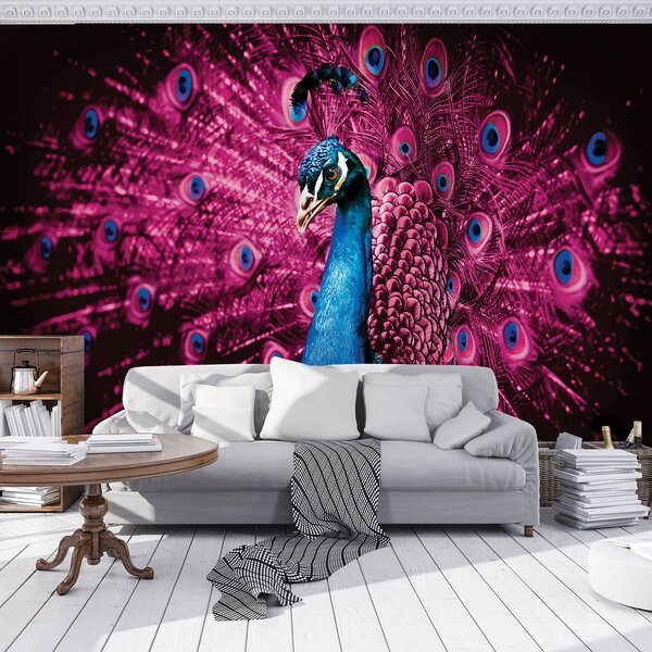 Fototapeta - Páv s růžovým peřím (152,5x104 cm)