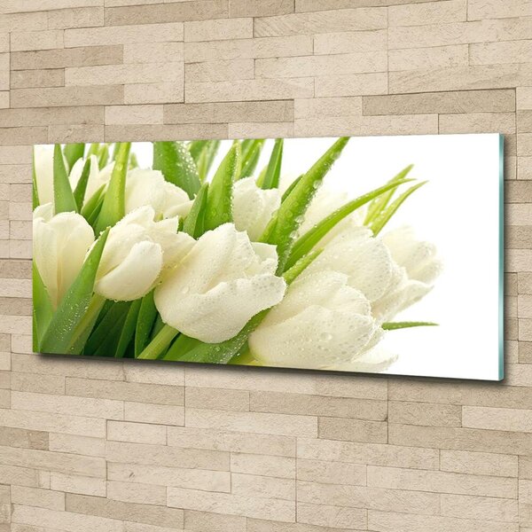 Moderní foto obraz na stěnu Bílé tulipány osh-49549577