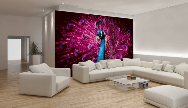 Fototapeta - Páv s růžovým peřím (152,5x104 cm)