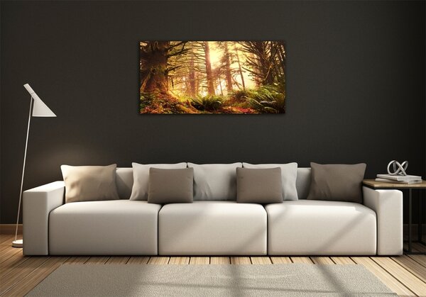 Foto obraz sklo tvrzené Dešťový prales osh-49624439