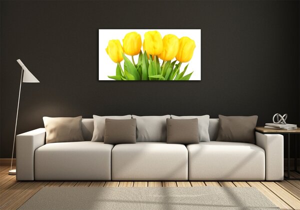 Foto-obrah sklo tvrzené Žluté tulipány osh-50296445