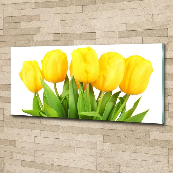 Foto-obrah sklo tvrzené Žluté tulipány osh-50296445