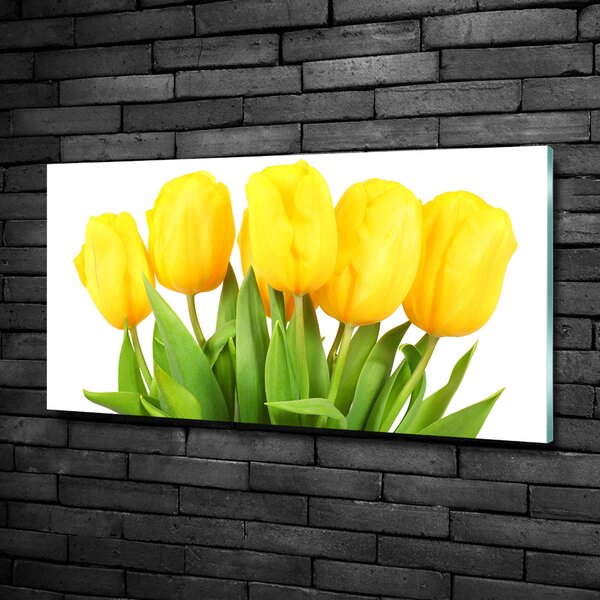 Foto-obrah sklo tvrzené Žluté tulipány osh-50296445