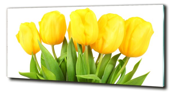Foto-obrah sklo tvrzené Žluté tulipány osh-50296445