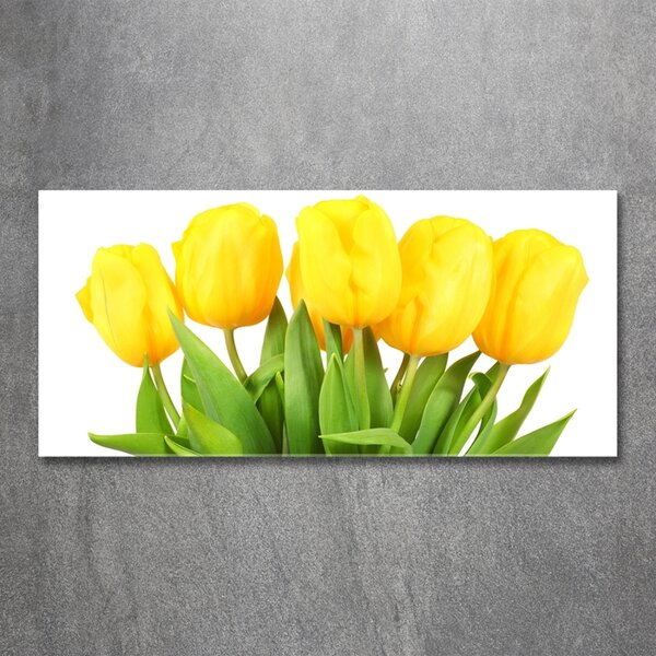Foto-obrah sklo tvrzené Žluté tulipány osh-50296445
