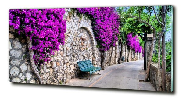 Foto obraz skleněný horizontální Okouzlující ulička osh-50635038