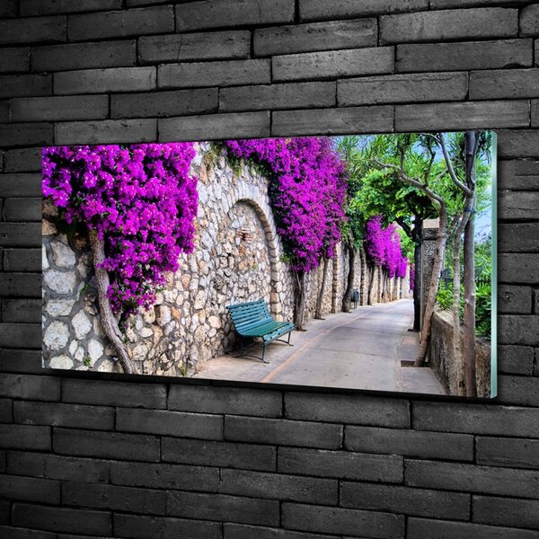 Foto obraz skleněný horizontální Okouzlující ulička osh-50635038