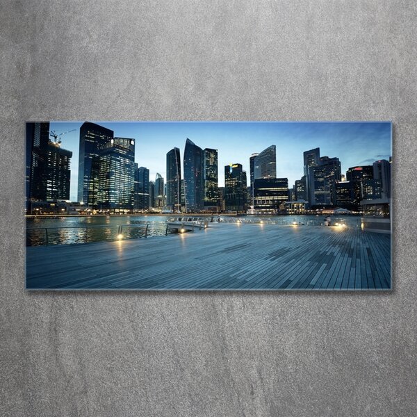 Foto obraz fotografie na skle Singapur noc osh-50961314